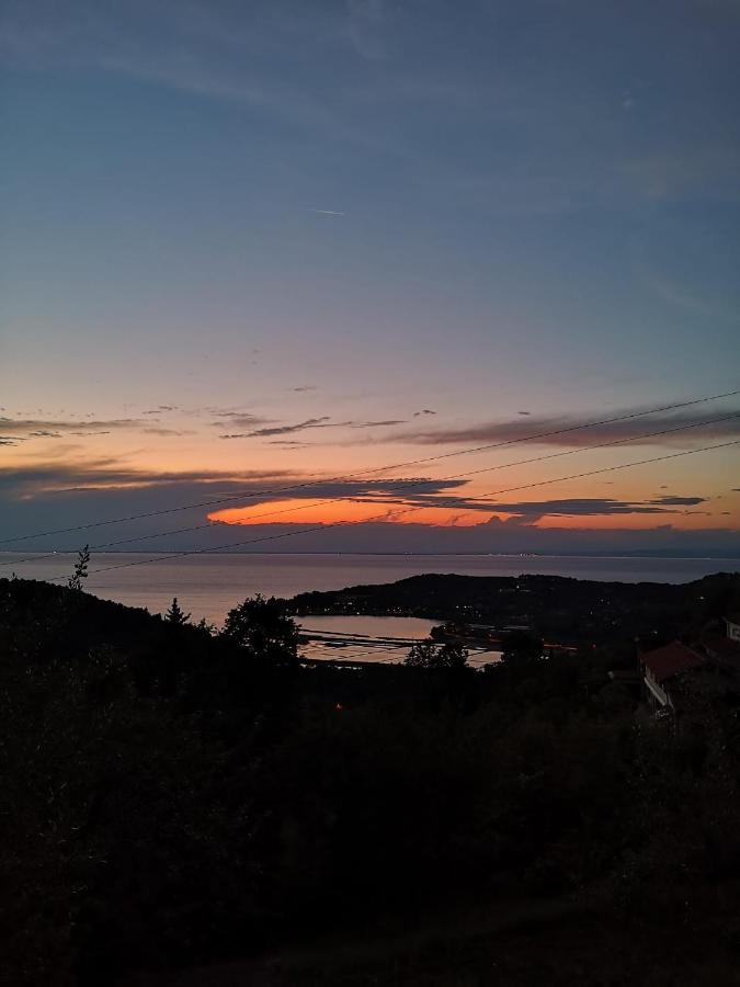 Forrest Apartment Portoroz Luaran gambar